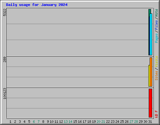 Daily usage for January 2024