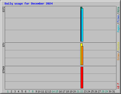 Daily usage for December 2024