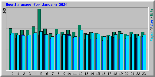 Hourly usage for January 2024