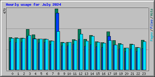 Hourly usage for July 2024