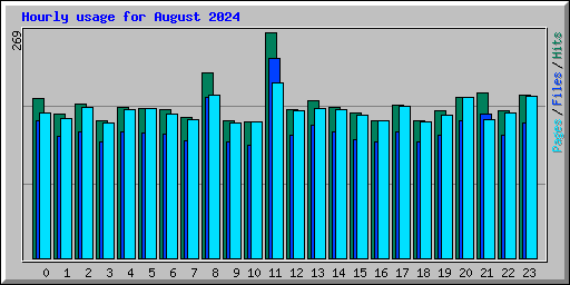 Hourly usage for August 2024