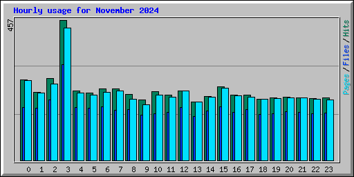 Hourly usage for November 2024