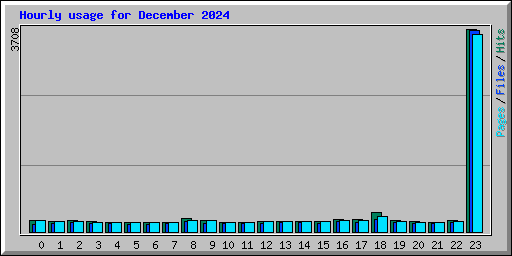 Hourly usage for December 2024