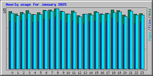 Hourly usage for January 2025