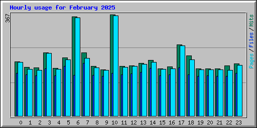 Hourly usage for February 2025