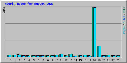 Hourly usage for August 2025