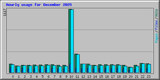 Hourly usage for December 2025