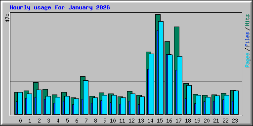 Hourly usage for January 2026